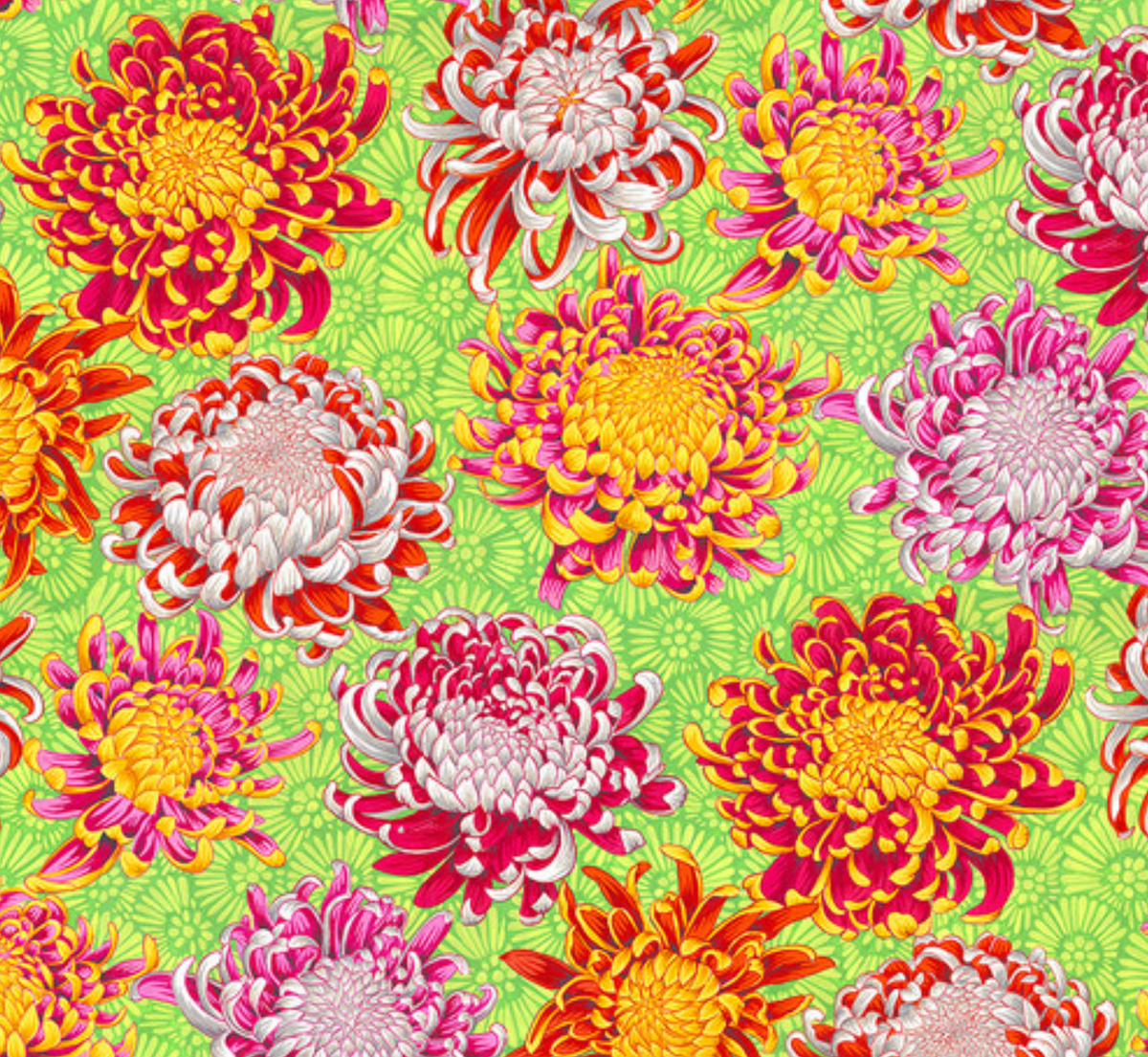 Kaffe Fassett Collective