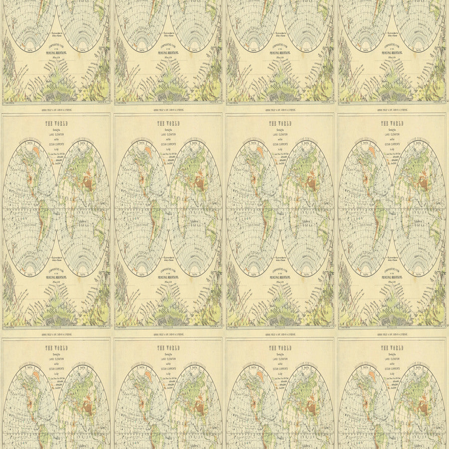 Palette Collection Green Subscription| Tim Holtz | FreeSpirit image 6