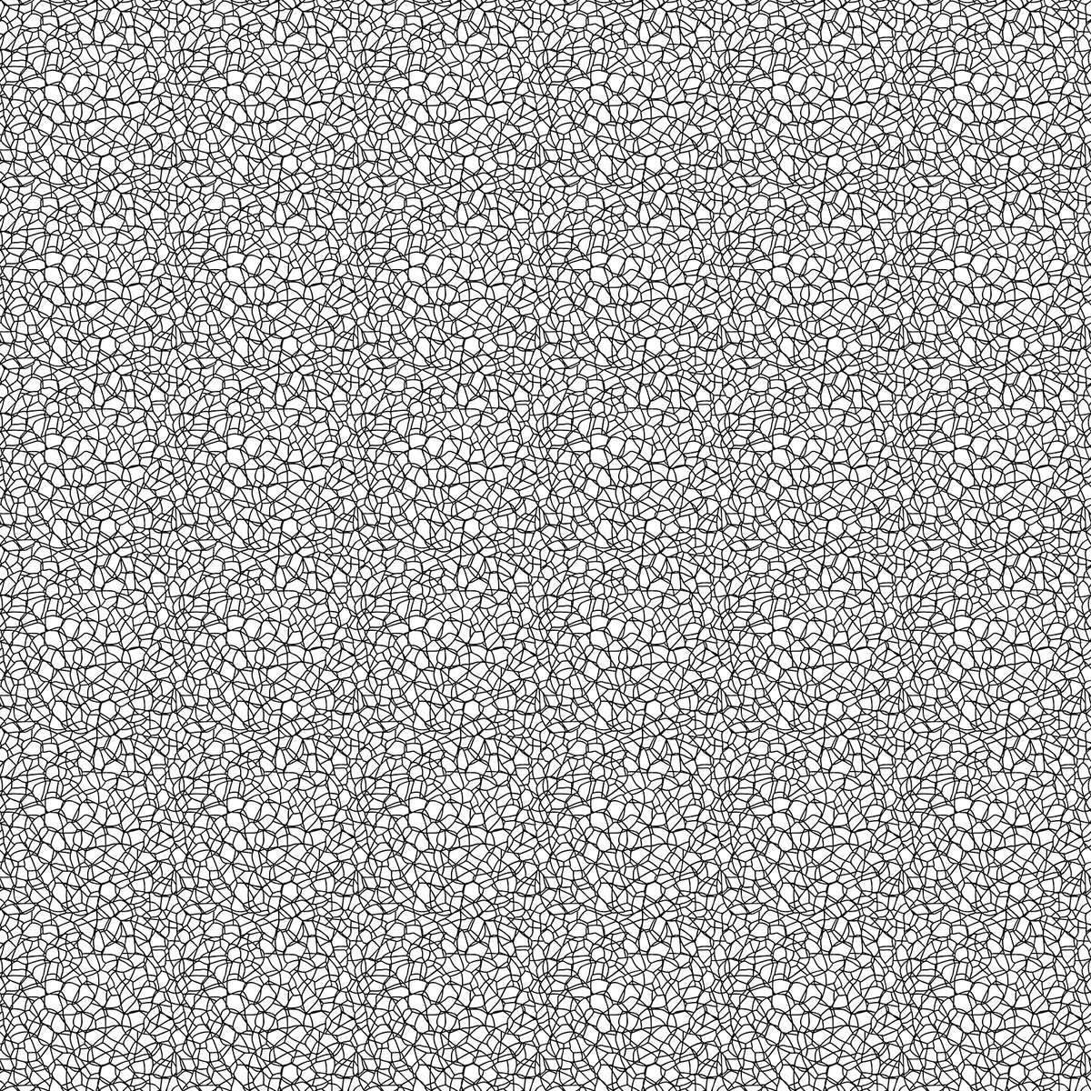 Basically Black + White 2023 By Patrick Lose - White on white, quilting cotton