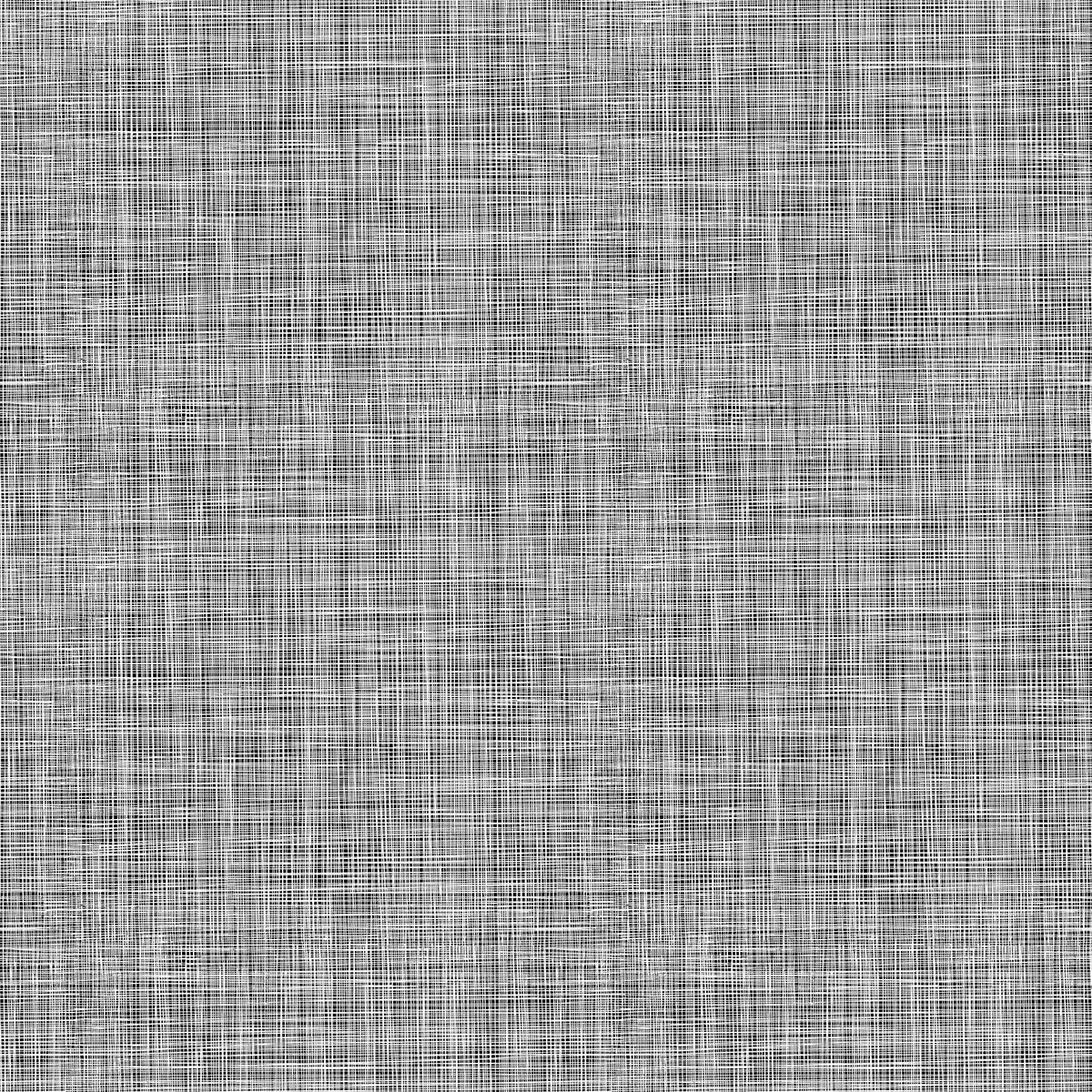 Basically Black + White 2023 By Patrick Lose - White on white, quilting cotton