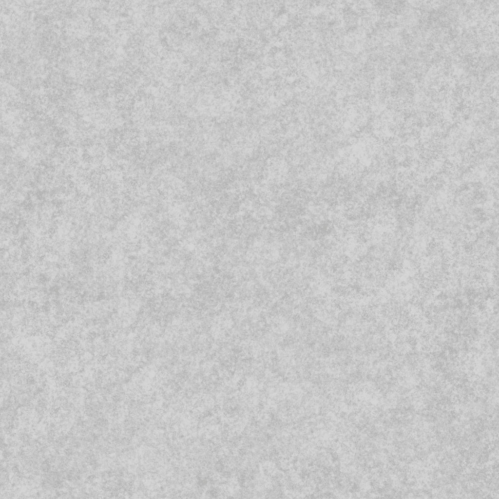Dapple | Patrick Lose | Neutral Colors image 2