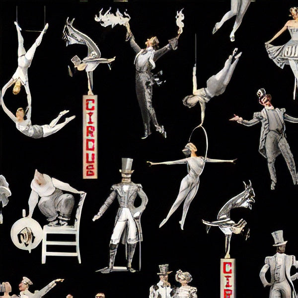 A Night At The Circus | Michael Miller | Aimee Stewart image 6