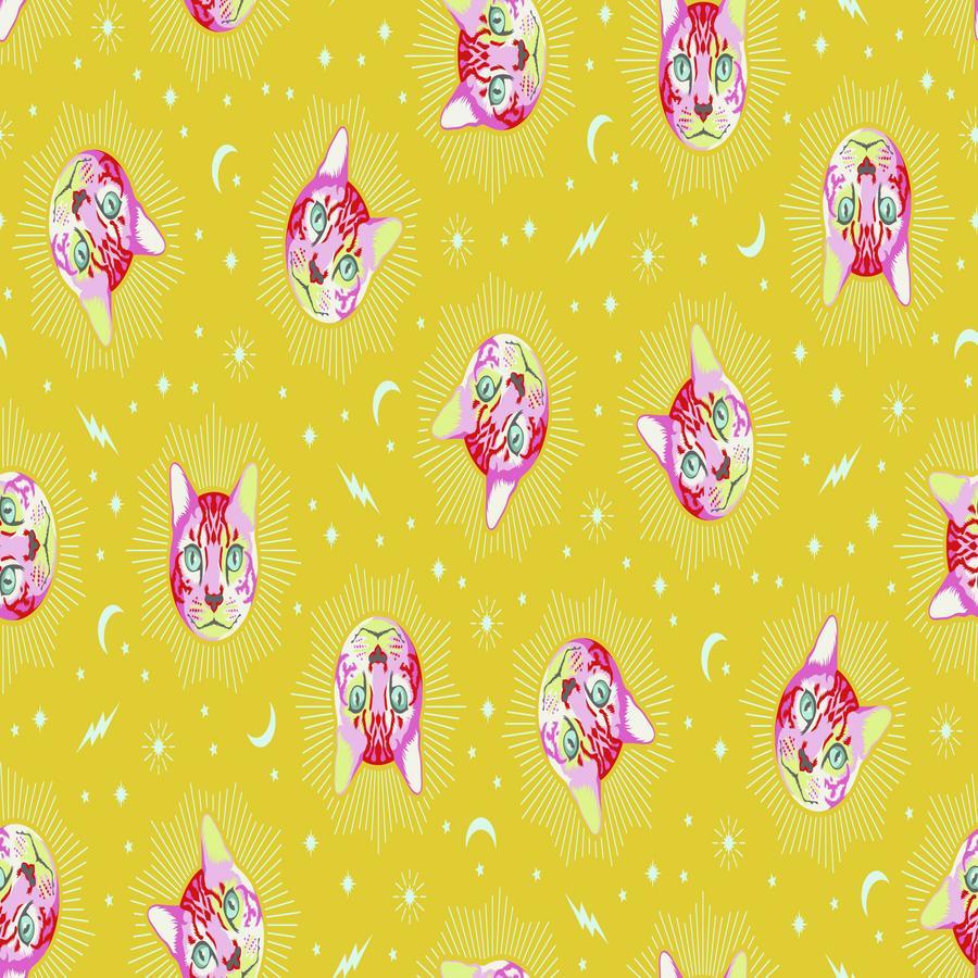 Curiouser and Curiouser | Tula Pink  | FreeSpirit | Warm image 5