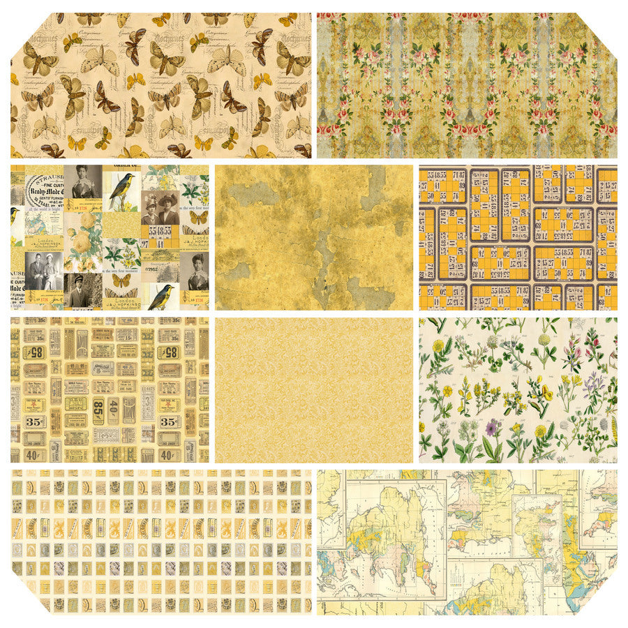 Palette Collection Subscription | Tim Holtz | Yellow | Free Spirit image 0