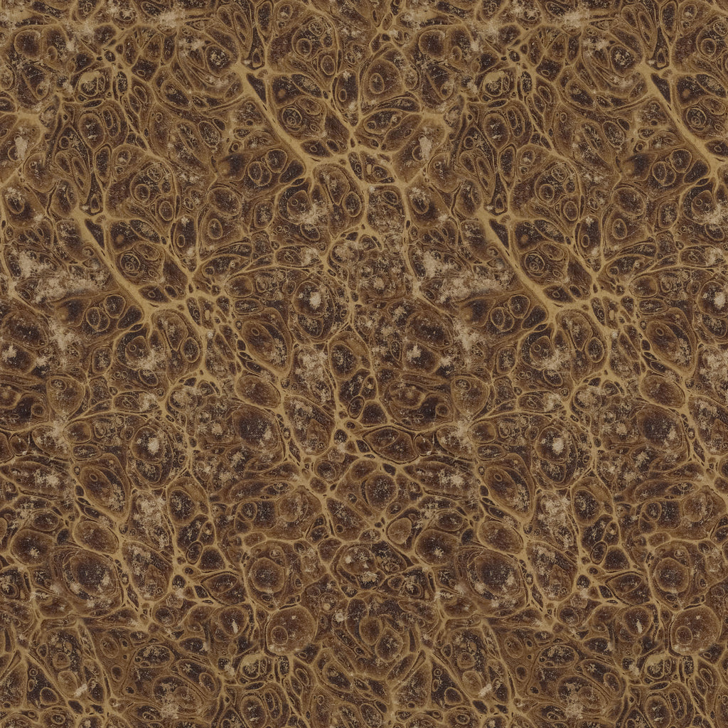 Palette Collection Neutral Subscription| Tim Holtz | FreeSpirit image 10