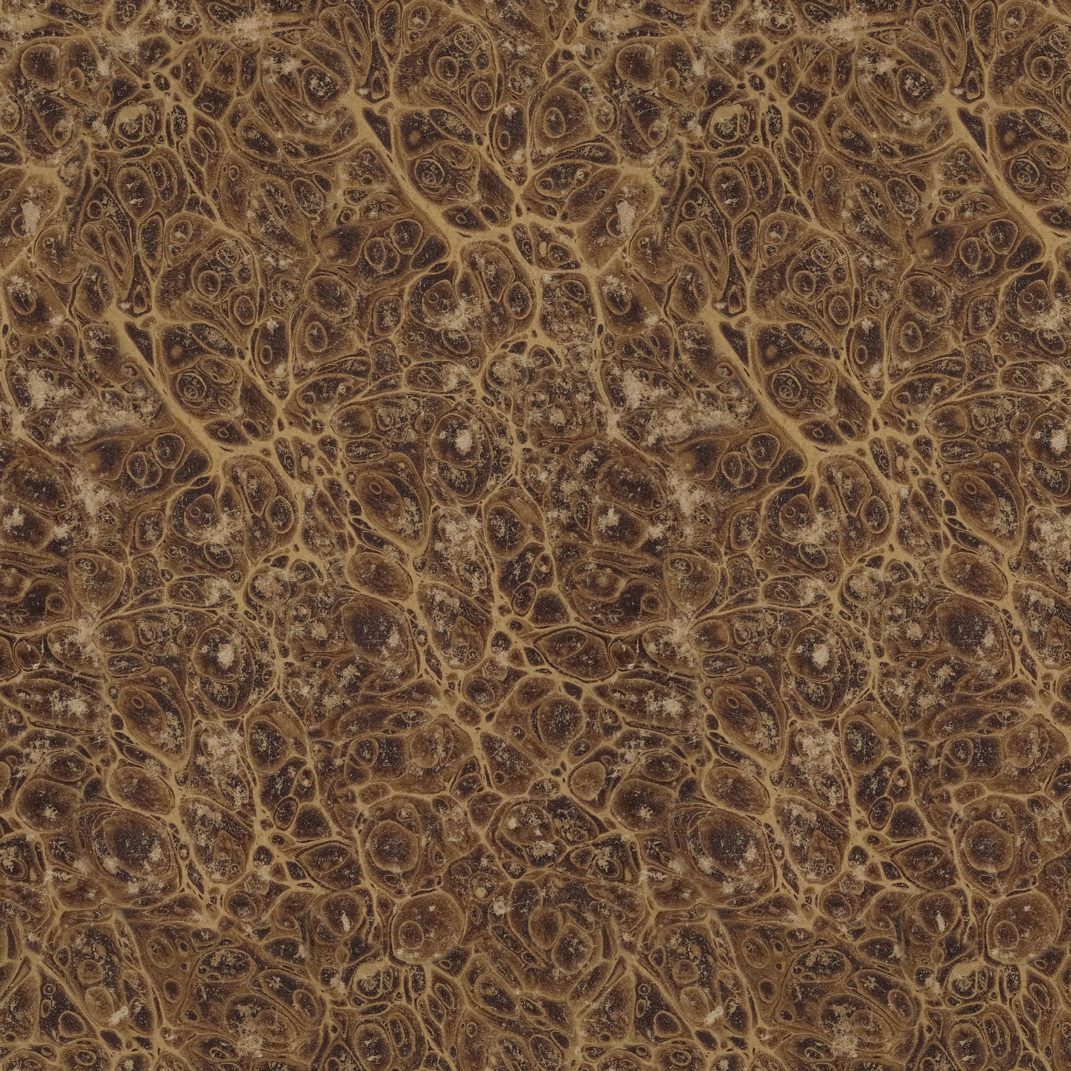 Palette Collection Neutral Subscription| Tim Holtz | FreeSpirit image 10