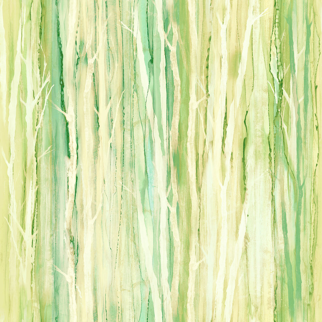 Morning Light | Deborah Edwards and Melanie Samra image 7