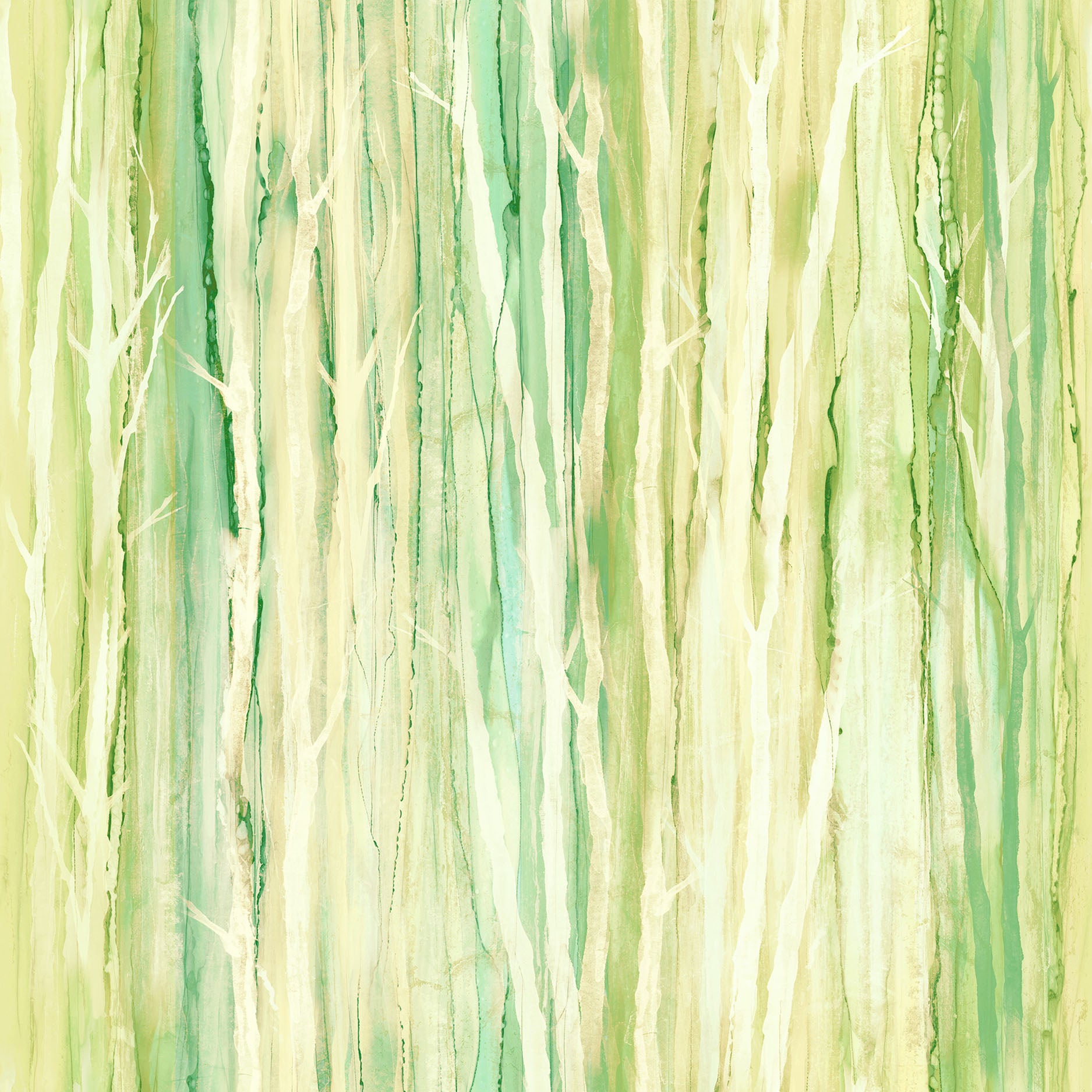 Morning Light | Deborah Edwards and Melanie Samra image 7