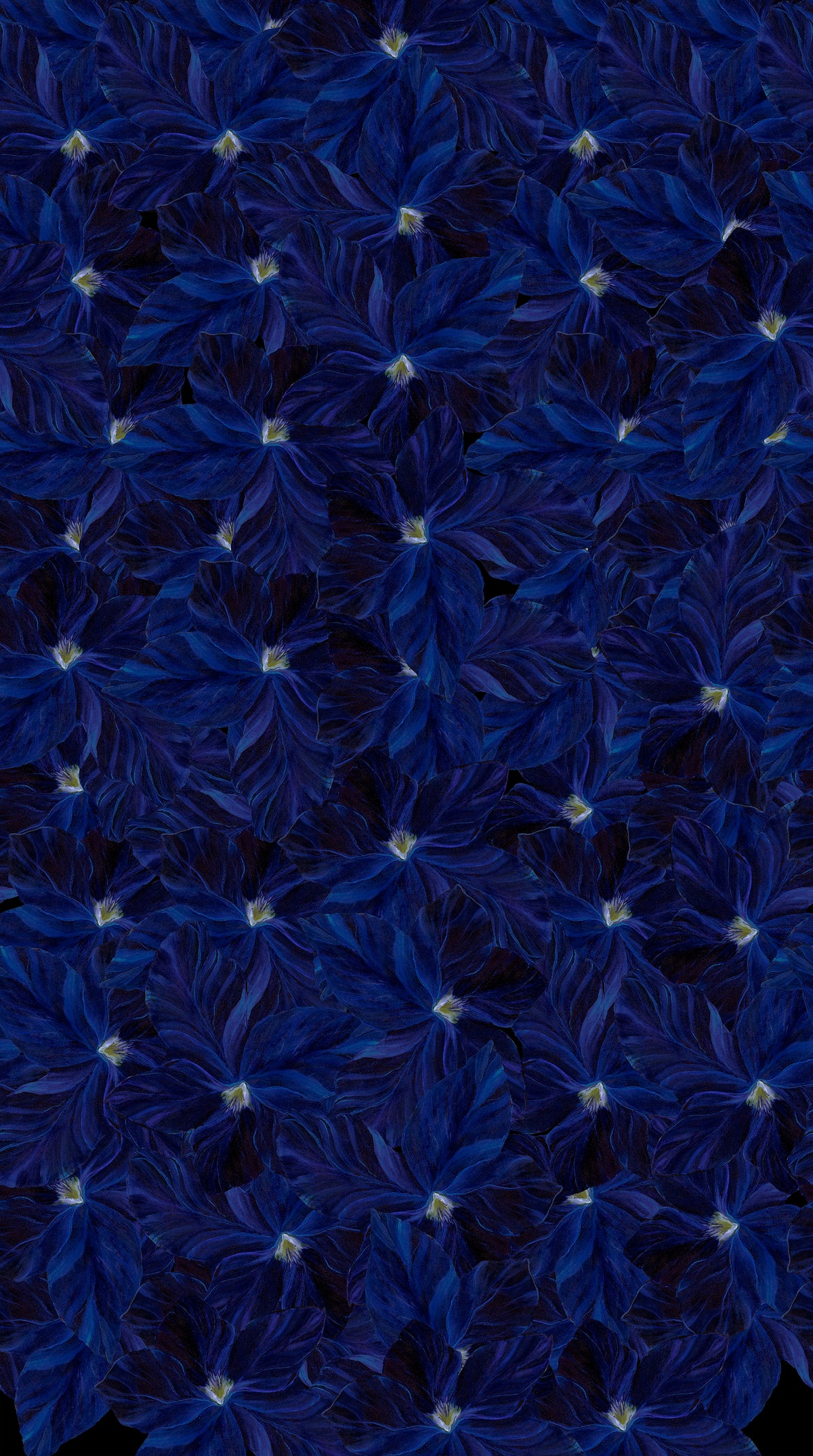 Wildflower Panels | Stephanie Brandenburg | Northcott