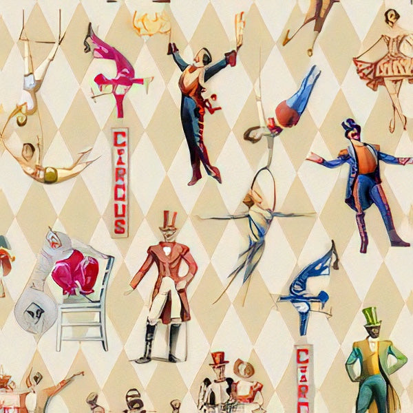 A Night At The Circus | Michael Miller | Aimee Stewart image 8