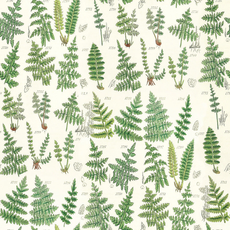 Palette Collection Green Subscription| Tim Holtz | FreeSpirit image 7