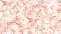 Midas Touch, NorthCott ,DM26834,  Alcohol ink dyes - Warm Colors, cotton image 0