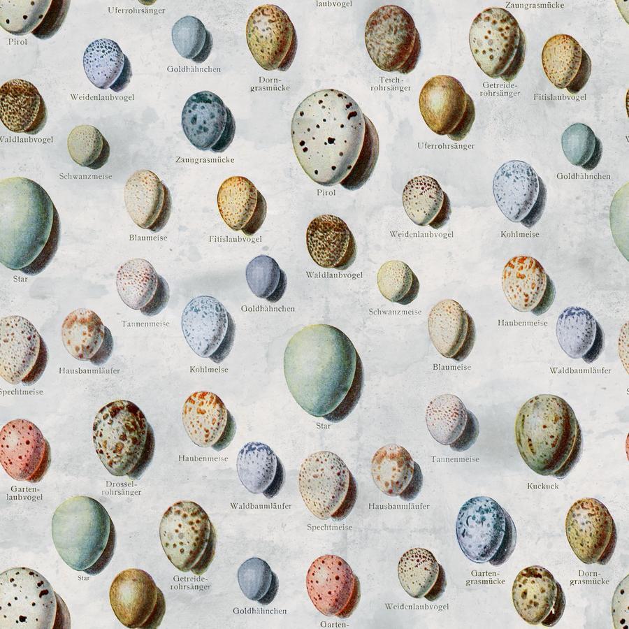 Palette Collection Blue | Subscription| Tim Holtz | FreeSpiri image 5