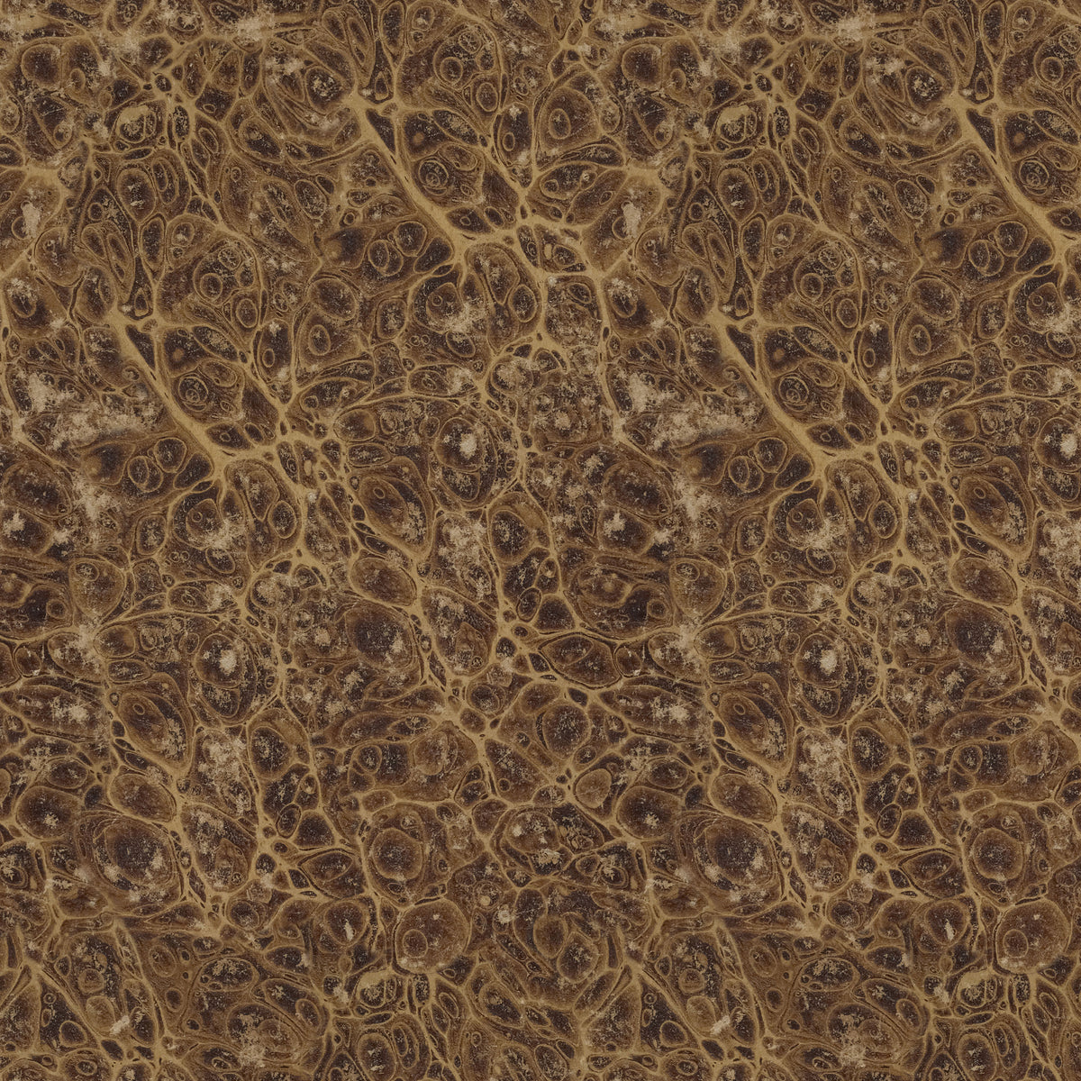 Palette Collection Neutral | Tim Holtz | FreeSpirit image 10