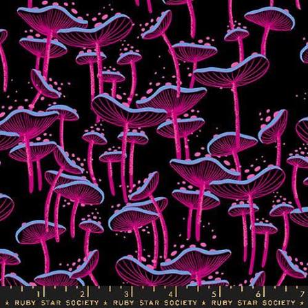GLOW GARDEN/Sarah Watts/Moda/Ruby Star RS2111 11