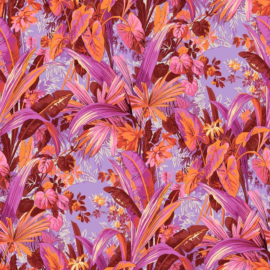 Kaffe Fassett Collective | August 2024 | FreeSpirit