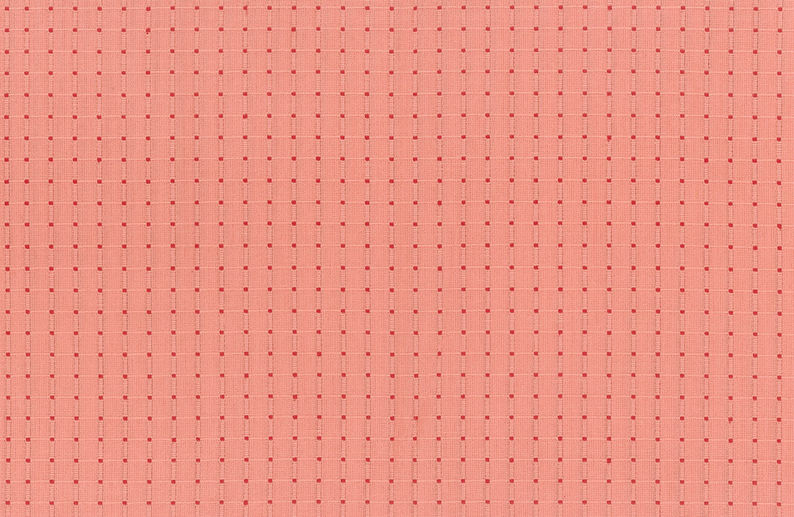 Garden Variety | Cheery | Anna Maria Textiles | Northcott