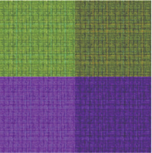 Coco Collection | 10 Squares | Michael Miller image 5