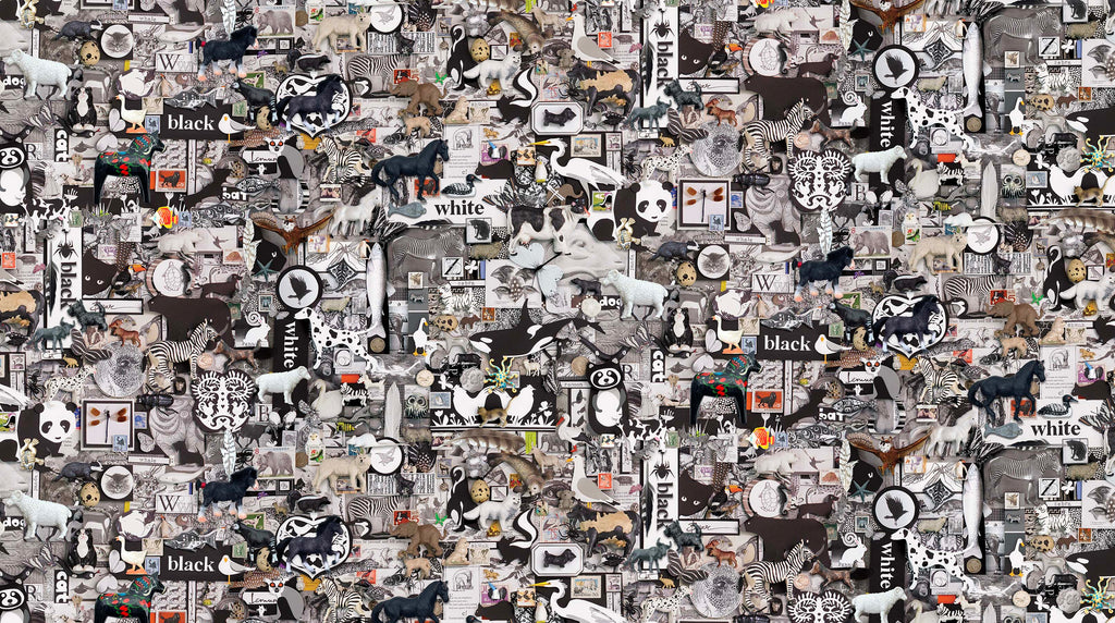 Color Collage 2 | Shelley Davies image 3