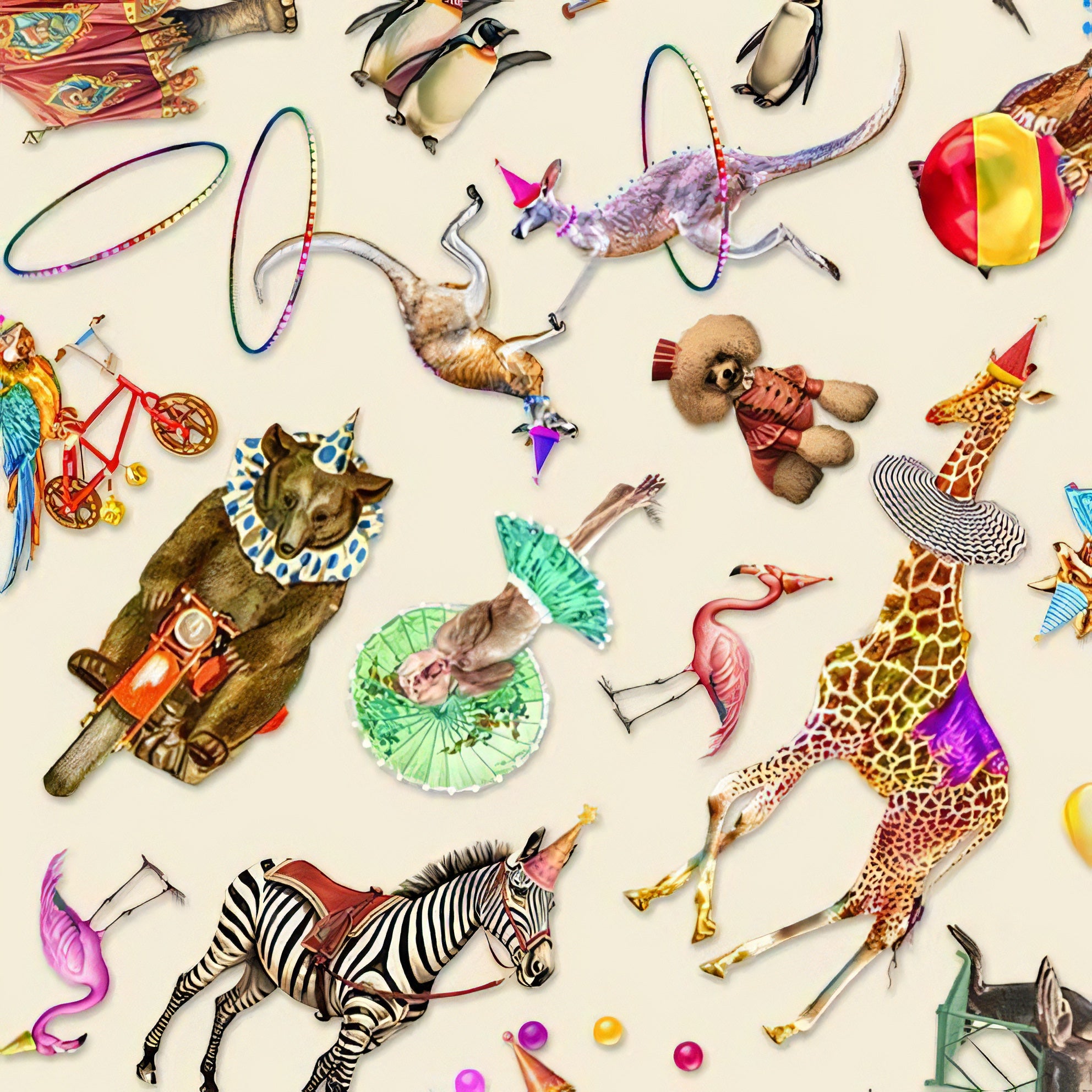 A Night At The Circus | Michael Miller | Aimee Stewart image 2