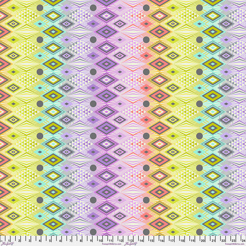 Tabby Road Deja Vu | 60” Minky | Tula Pink | FreeSpirit image 1