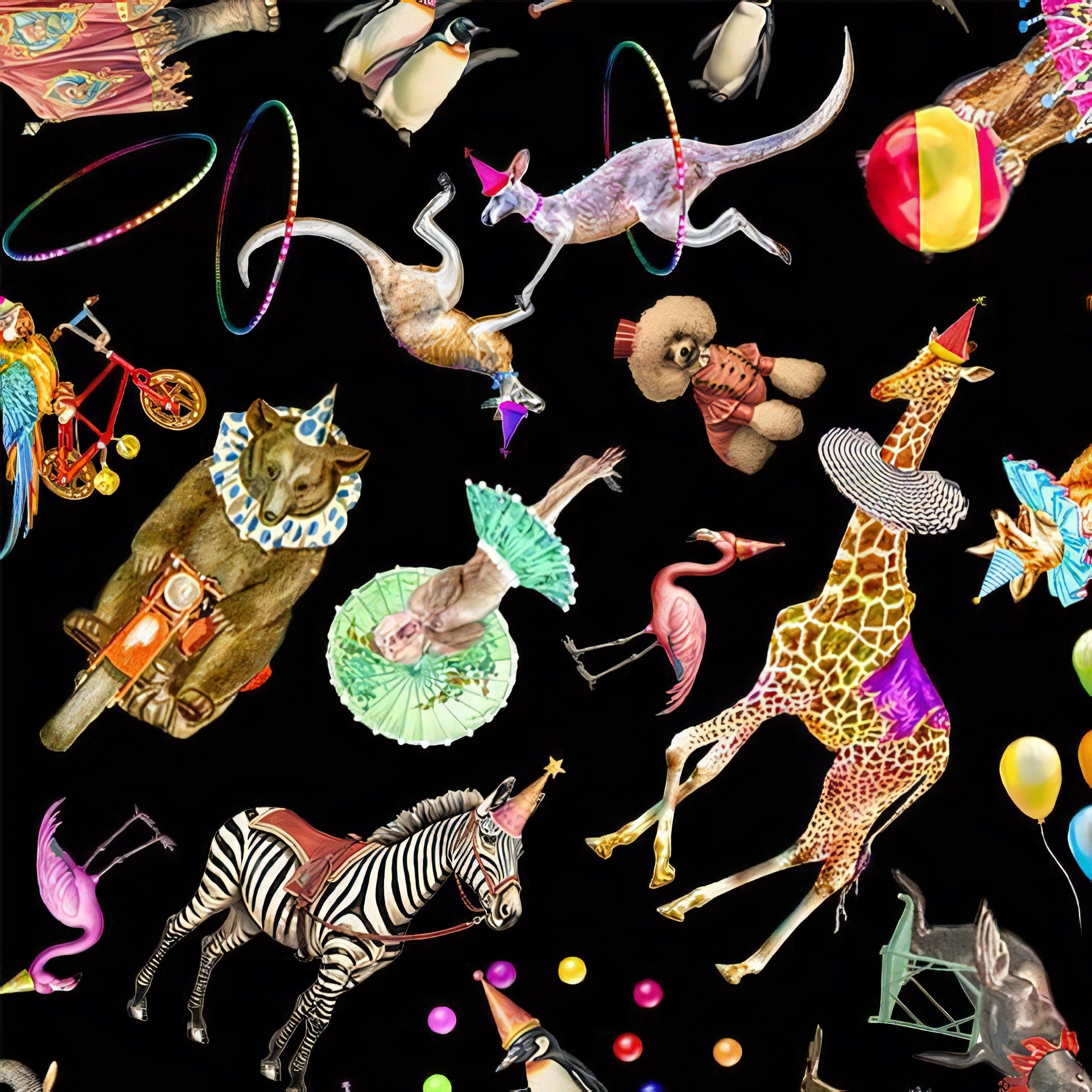 A Night At The Circus | Michael Miller | Aimee Stewart image 0