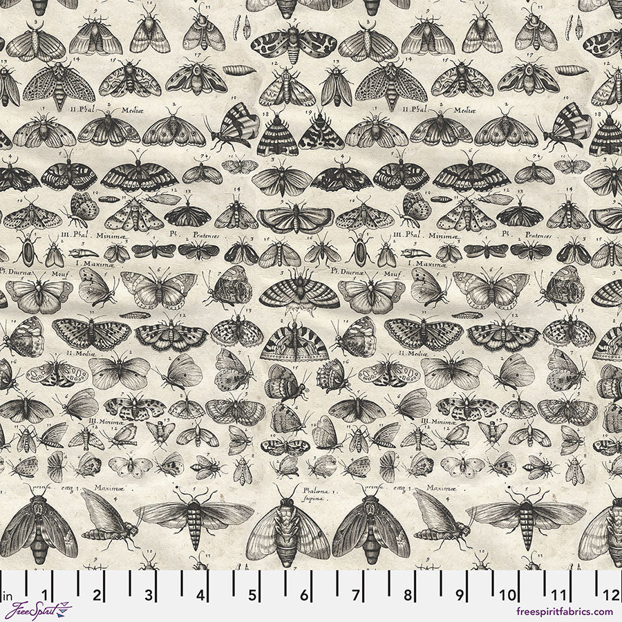 Palette Collection I Charcoal | Tim Holtz | FreeSpiri image 4
