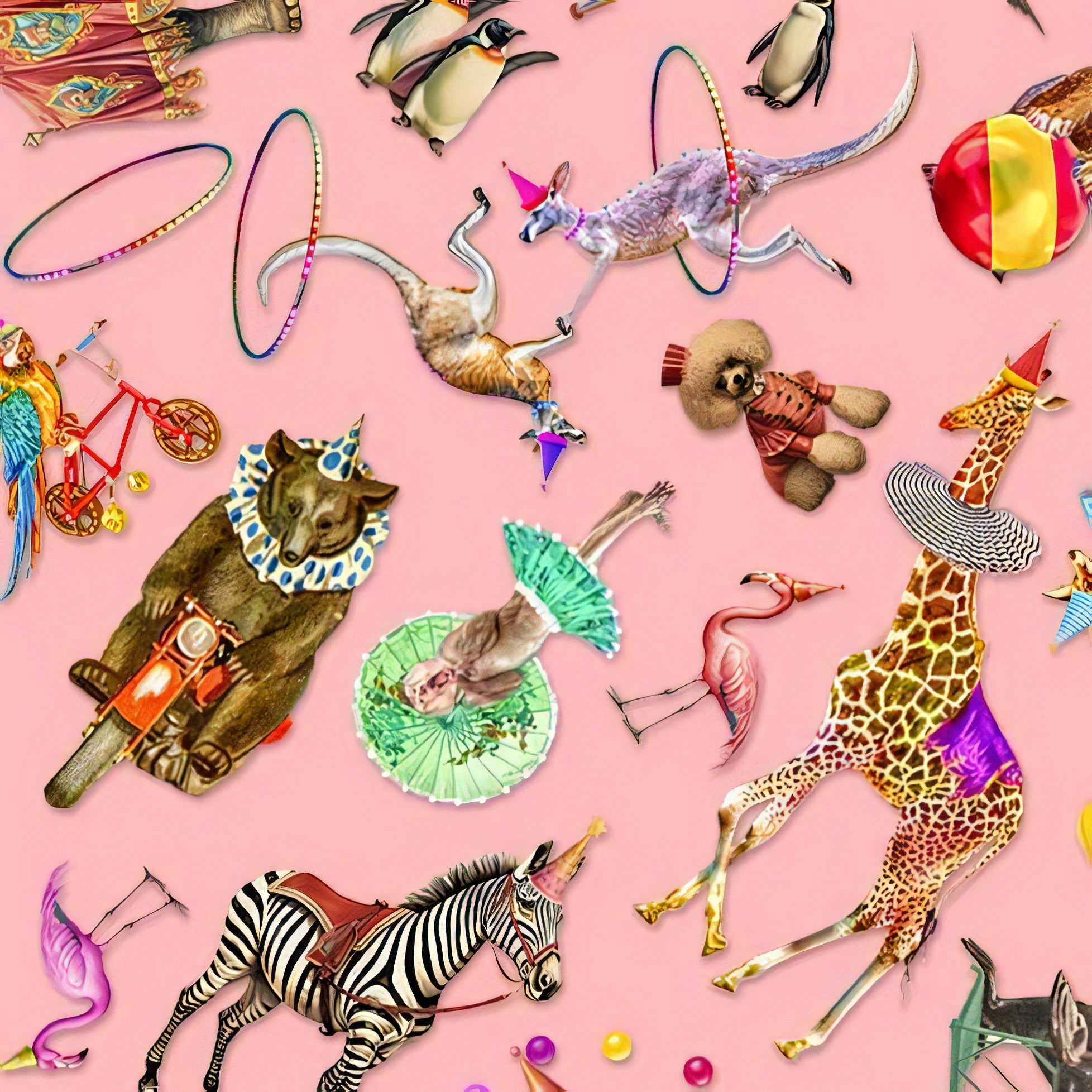 A Night At The Circus | Michael Miller | Aimee Stewart image 1