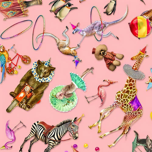 A Night At The Circus | Michael Miller | Aimee Stewart image 1